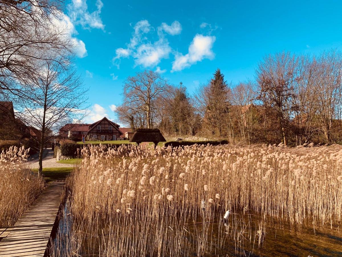 Fischhaus Am Schaalsee Zarrentin am Schaalsee Dış mekan fotoğraf