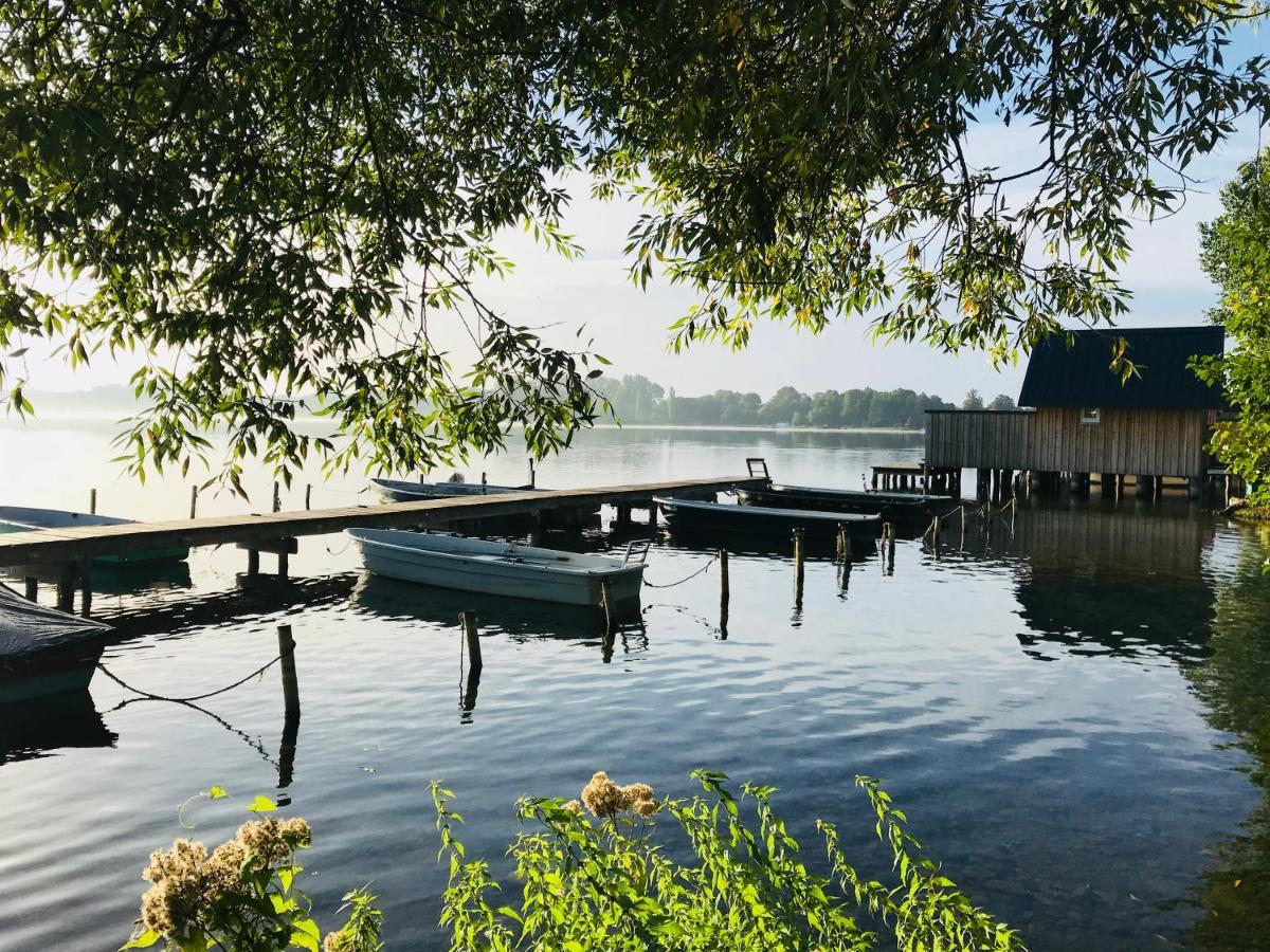 Fischhaus Am Schaalsee Zarrentin am Schaalsee Dış mekan fotoğraf